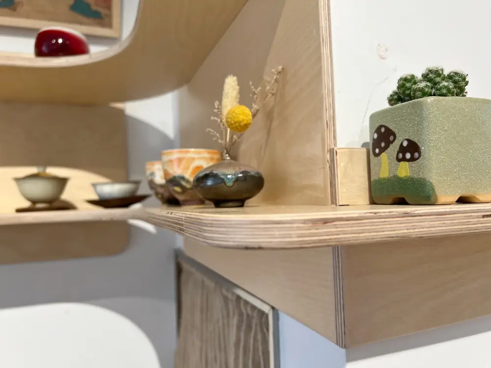 long lasting plywood