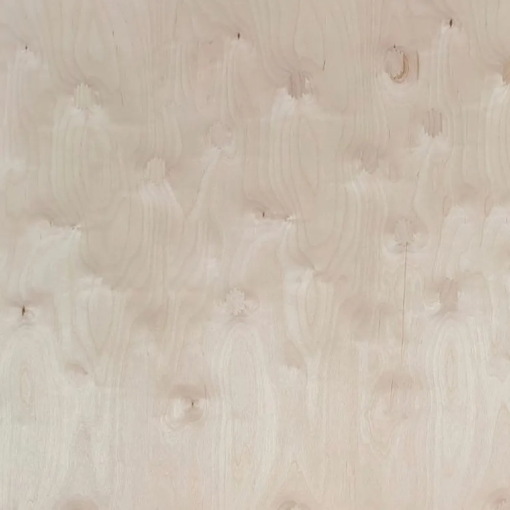 BB grade birch plywood01