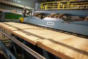 plywood factory3