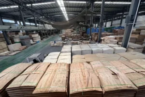 plywood factory4