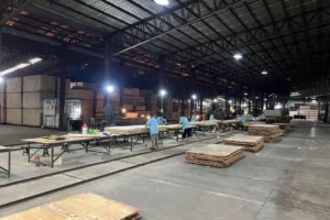 plywood factory5