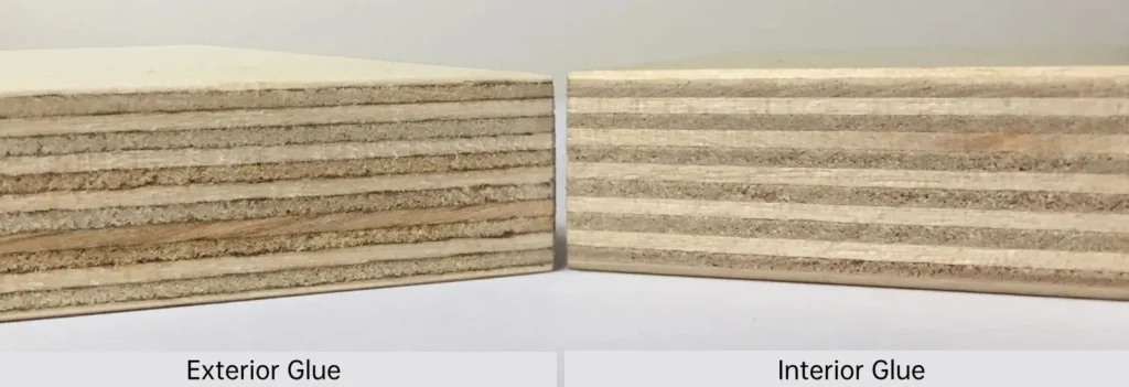 birch plywood Glue Line